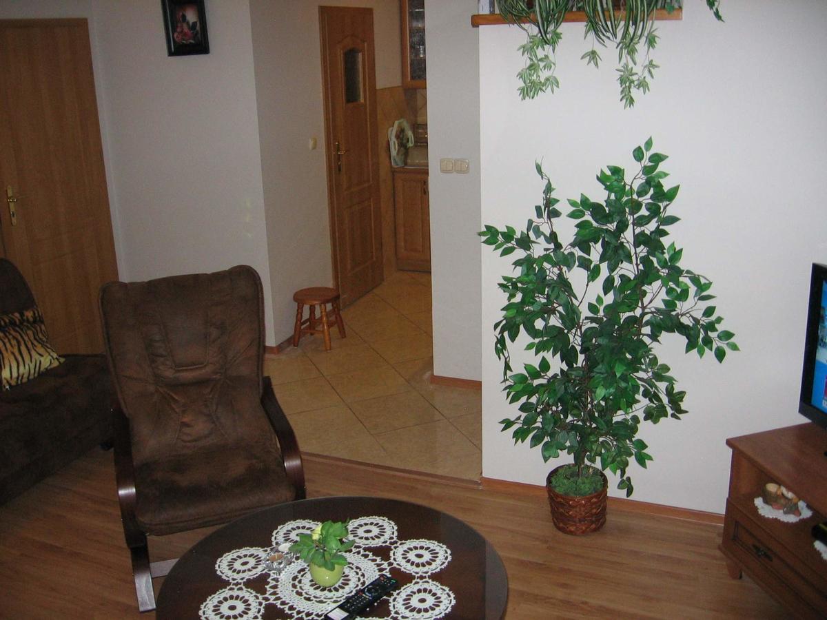 Apartament Zuzia Дзьвіжино Екстер'єр фото
